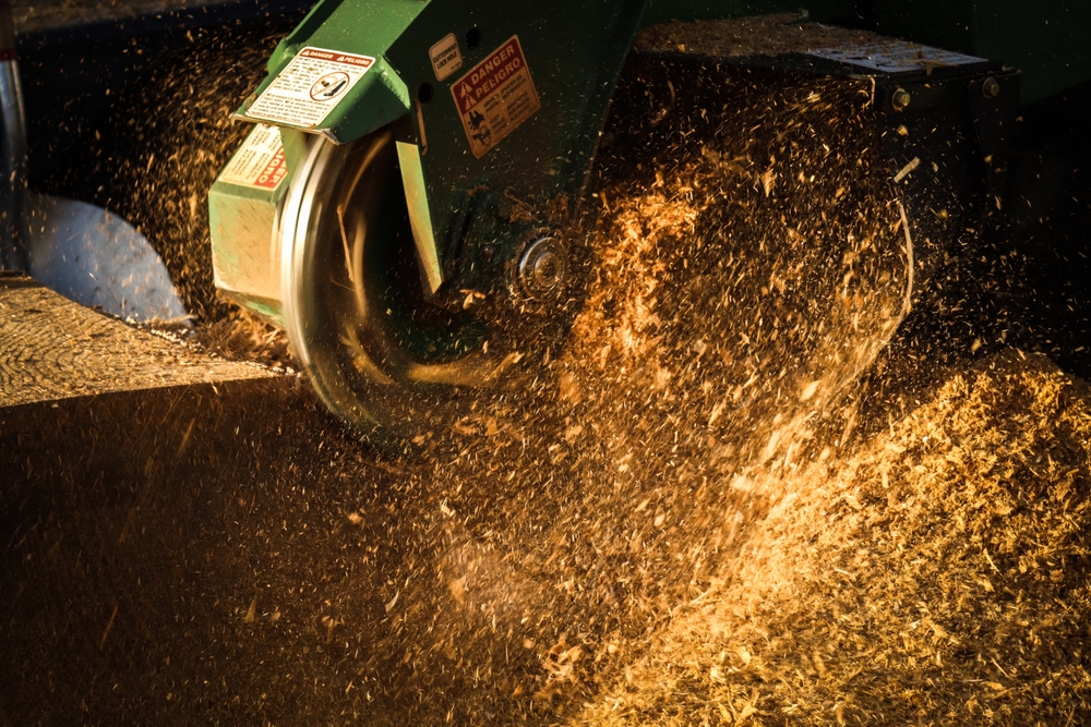 Stump Grinding vs. Stump Removal in Vancouver, WA: What You Need to Know
